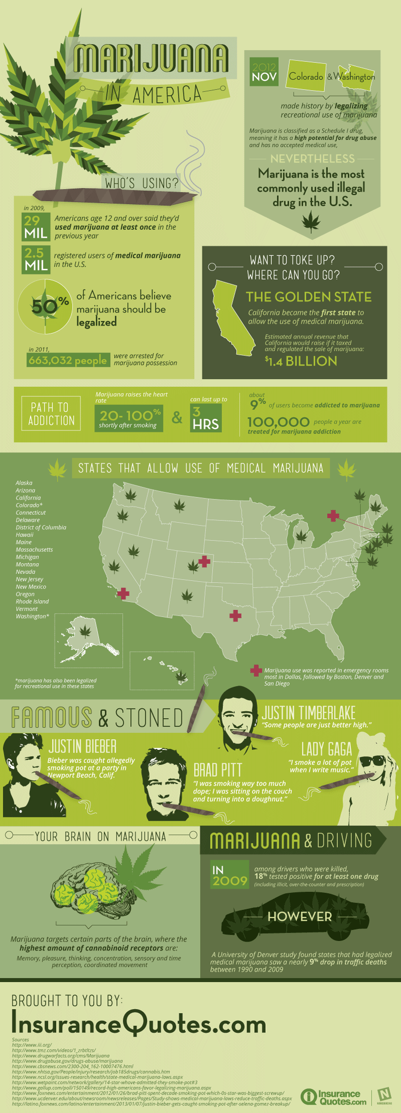 Marijuana in America [Infographic] – Collective Thoughts